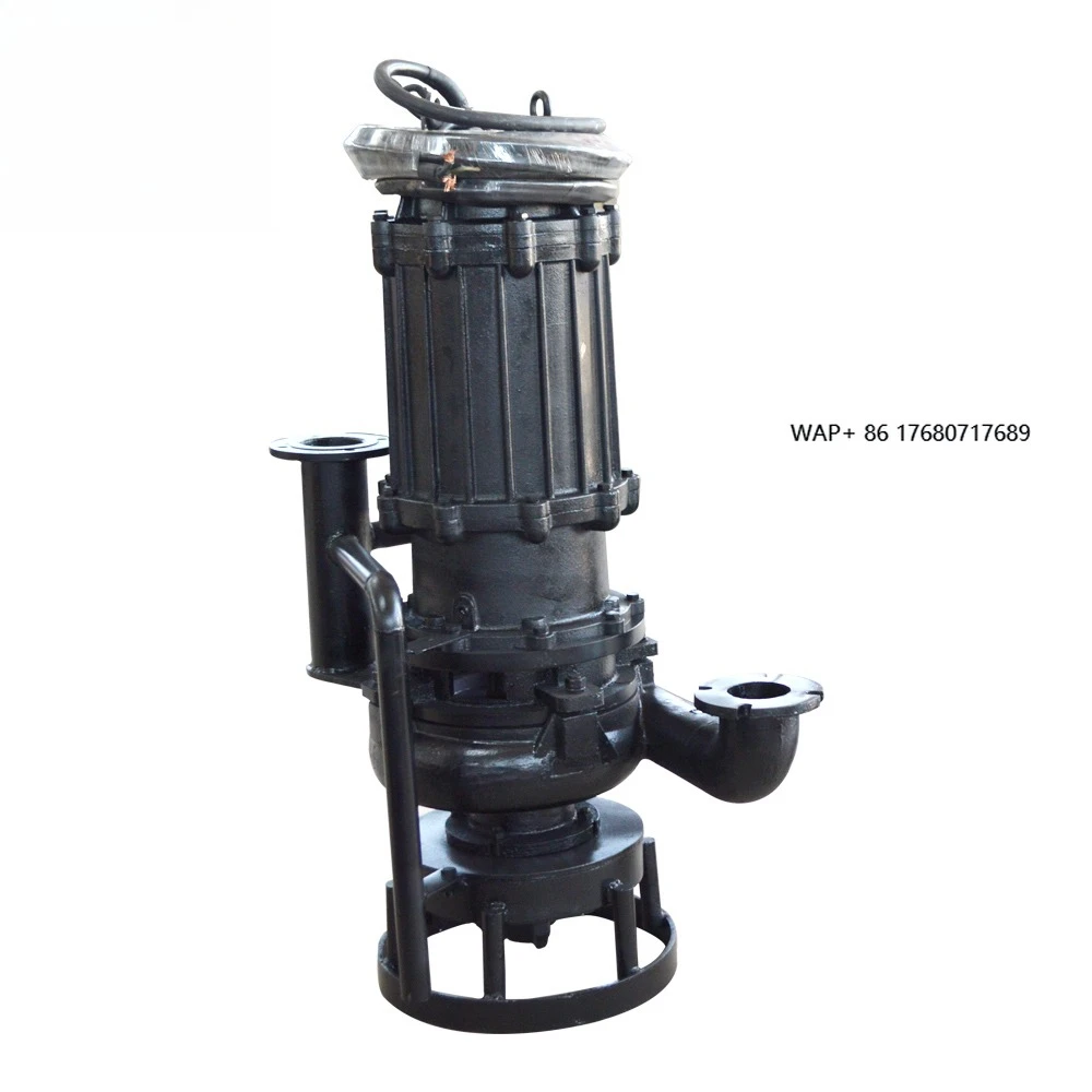 40hp Sludge Wastewater Sucker Metal Vertical Pond Submersible Sand Mud Slurry Pump
40hp Sludge Wastewater Sucker Metal Vertical Pond Submersible Sand Mud Slurry Pump