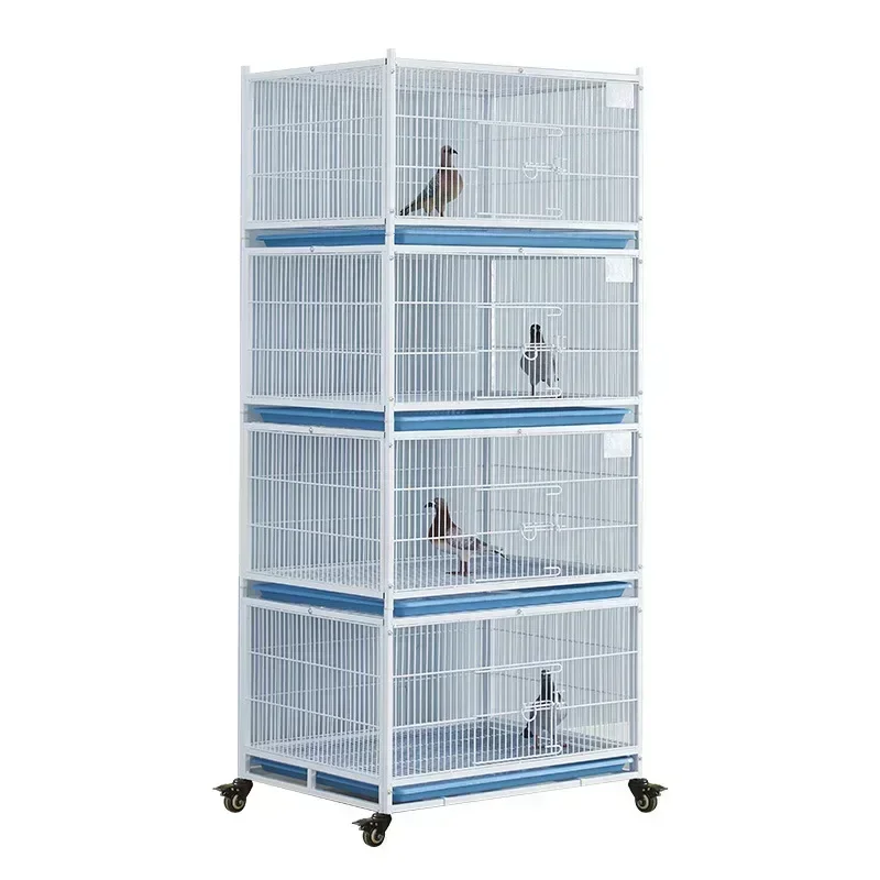 frame pigeon cage show cages for sale low weight
frame pigeon cage show cages for sale low weight