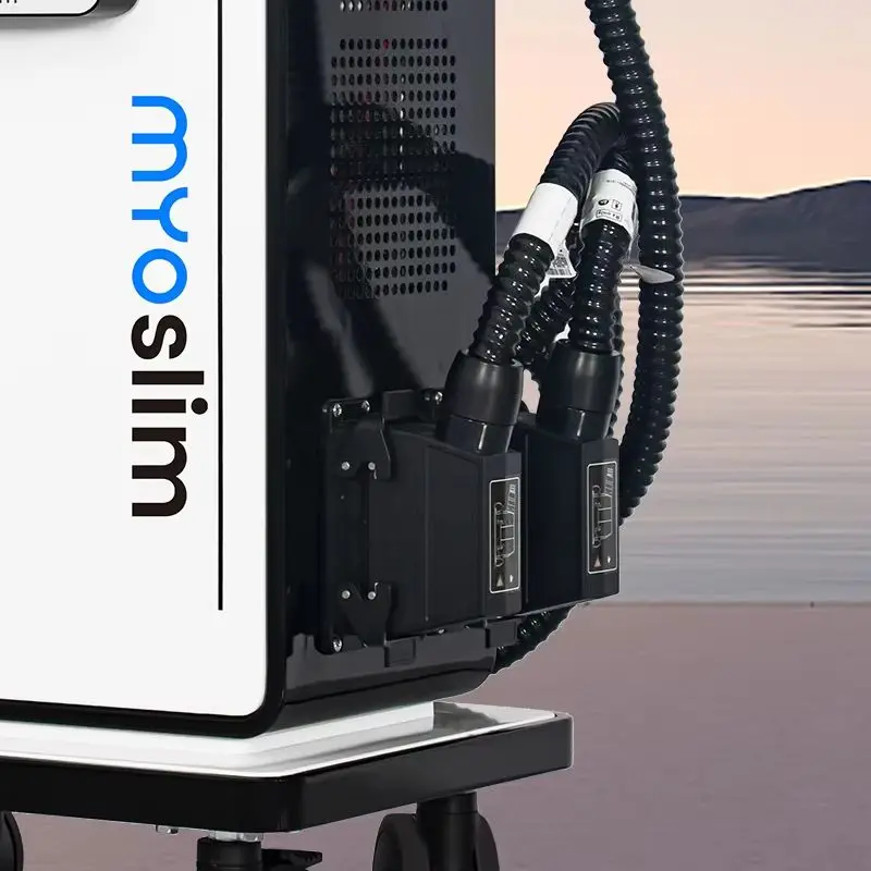 Портативный аппарат для коррекции фигуры EMS, стимулятор мышц EMT, радиочастотный прибор для подтяжки кожи, похудения и улучшения красоты
Портативный аппарат для коррекции фигуры EMS, стимулятор мышц EMT, радиочастотный прибор для подтяжки кожи, похудения и улучшения красоты