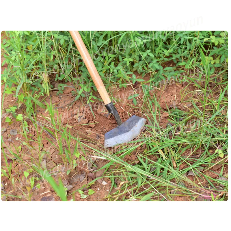 Crescent Weeding Shovel Root Push Grass Remover Small Hoe Outdoor Garden Farm Agricultural Tool
Crescent Weeding Shovel Root Push Grass Remover Small Hoe Outdoor Garden Farm Agricultural Tool