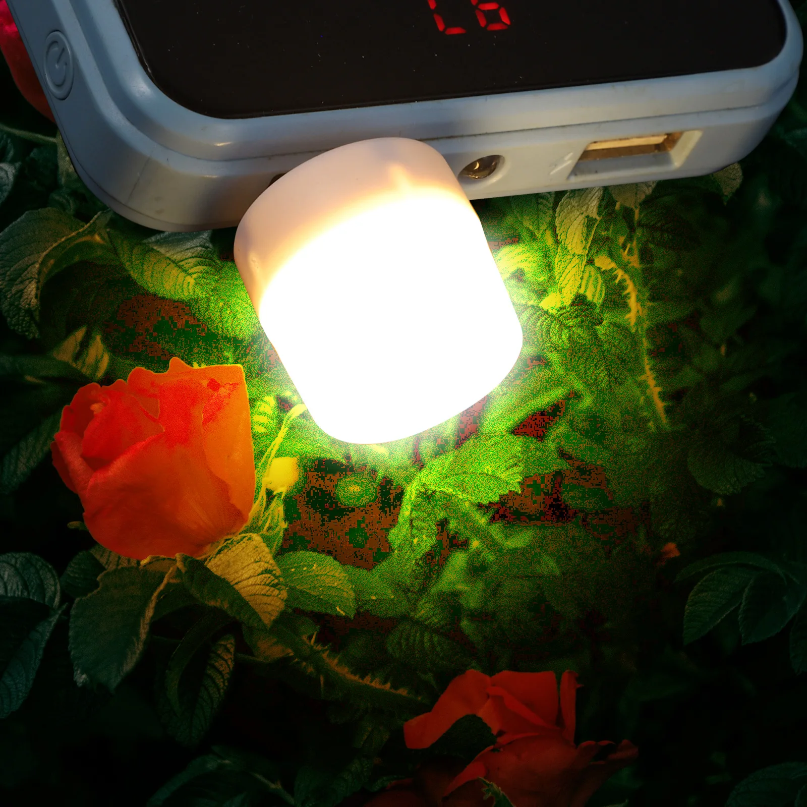 10 Pcs Portable LED Night Light for Laptop Ambient Usb Plastic Lamps Atmosphere
10 Pcs Portable LED Night Light for Laptop Ambient Usb Plastic Lamps Atmosphere