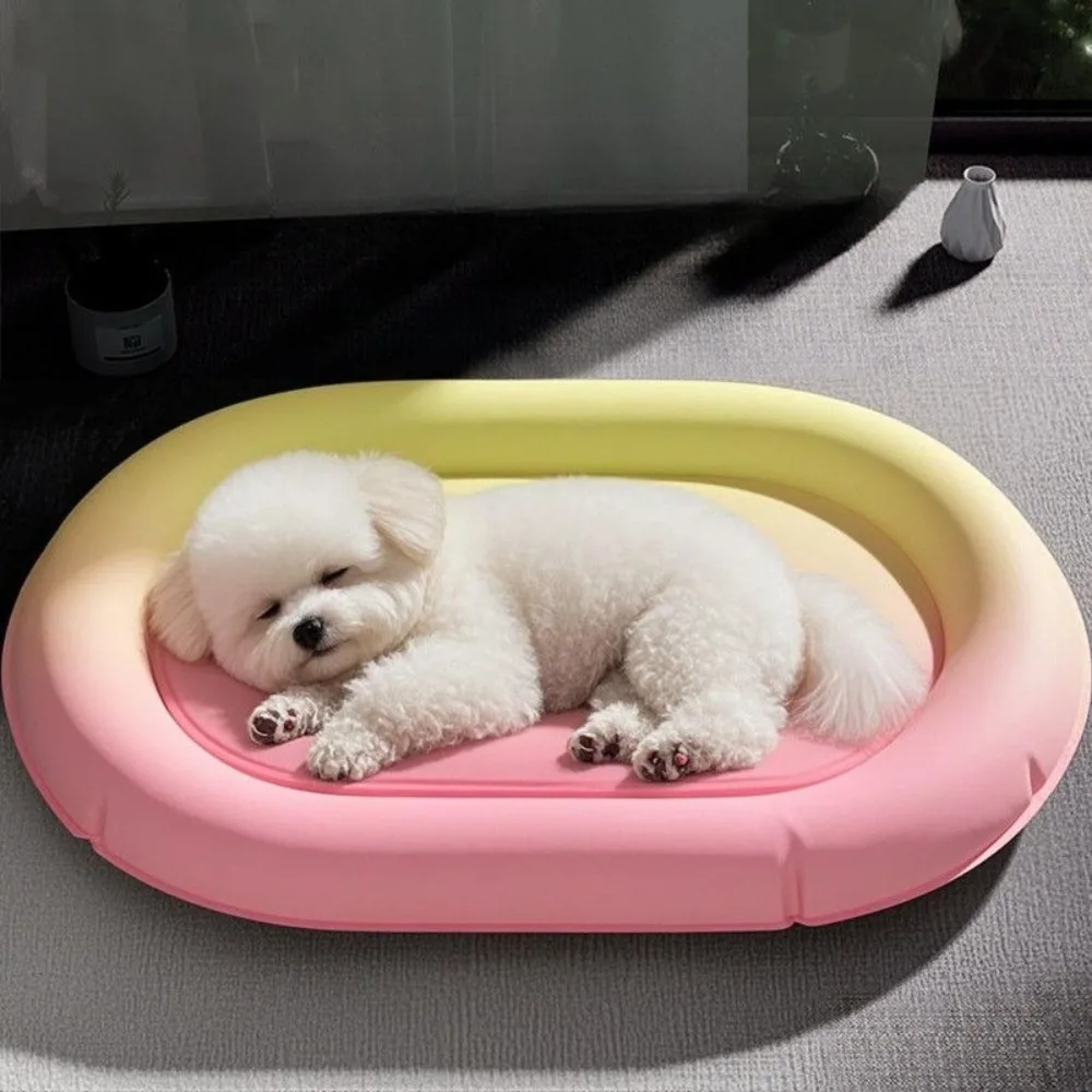 Летняя кровать для кошек, термозащита, прохладная подставка для льда, кровать для собак, утолщенные охлаждающие устойчивые к царапинам коврики для собак, товары для домашних животных, аксессуары
Летняя кровать для кошек, термозащита, прохладная подставка для льда, кровать для собак, утолщенные охлаждающие устойчивые к царапинам коврики для собак, товары для домашних животных, аксессуары