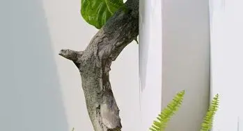 29.4V 34000mAh Lithium battery pack 18650 7S10P with BMS For scooter,bicycle,Replaceable plug
29.4V 34000mAh Lithium battery pack 18650 7S10P with BMS For scooter,bicycle,Replaceable plug