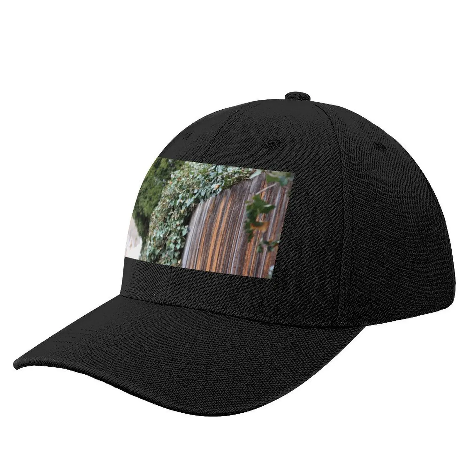 Back Alley Fence Baseball Cap Anime Hat Sun Hat For Children Hat Man For The Sun fishing Mens Tennis Women's
Back Alley Fence Baseball Cap Anime Hat Sun Hat For Children Hat Man For The Sun fishing Mens Tennis Women's