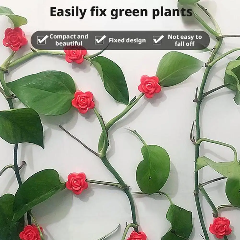 Plant Stem Holder Rose-Shaped Wall Climbing Plant Vine Holder Wall-mounted Reusable Vine Fixing Clips For Indoor Outdoor
Plant Stem Holder Rose-Shaped Wall Climbing Plant Vine Holder Wall-mounted Reusable Vine Fixing Clips For Indoor Outdoor
