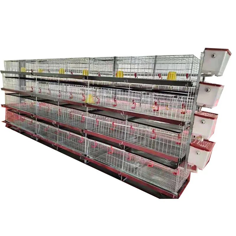 4 Tiers High Quality Hot Dip Galvanized H Type Chicken and Quail Cages Automatic Wire Cage Layer Cages for Poultry Farm Use
4 Tiers High Quality Hot Dip Galvanized H Type Chicken and Quail Cages Automatic Wire Cage Layer Cages for Poultry Farm Use