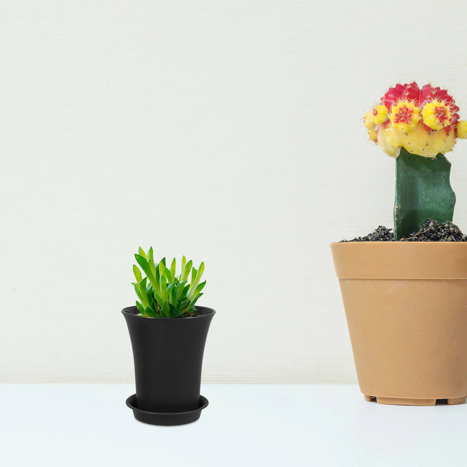 10 Pcs Planters with Drainage Holes Tray Succulent Pots Plants Black for Outdoor Flower
10 Pcs Planters with Drainage Holes Tray Succulent Pots Plants Black for Outdoor Flower