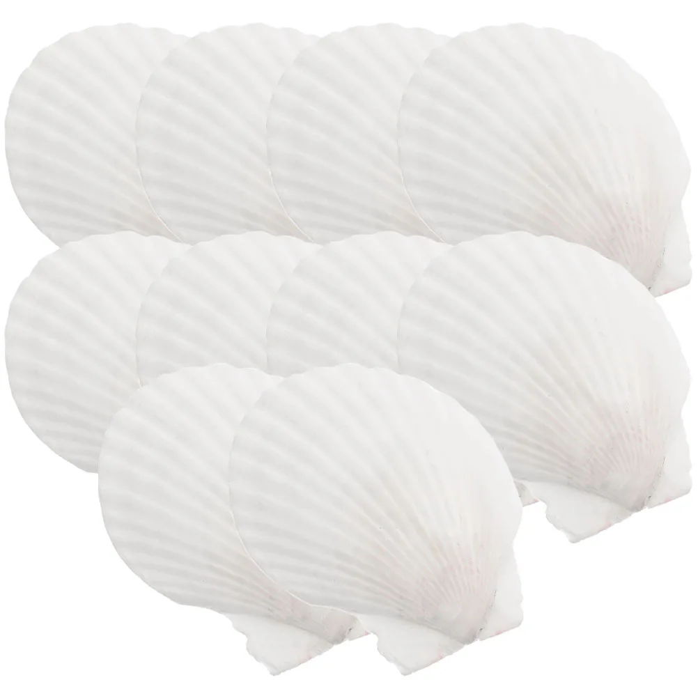 10Pcs Shell Dinner Plates Scallop Shape Natural Shell Tray for Home Use Snacks Nuts Chocolate Candy Serving Scallop Shells
10Pcs Shell Dinner Plates Scallop Shape Natural Shell Tray for Home Use Snacks Nuts Chocolate Candy Serving Scallop Shells