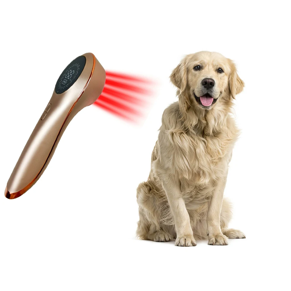 Veterinary Use NIR Red Light Laser Therapy Physiotherapy Equipment For Pain Relief Pain Reduce Light Therapy For Dogs
Veterinary Use NIR Red Light Laser Therapy Physiotherapy Equipment For Pain Relief Pain Reduce Light Therapy For Dogs