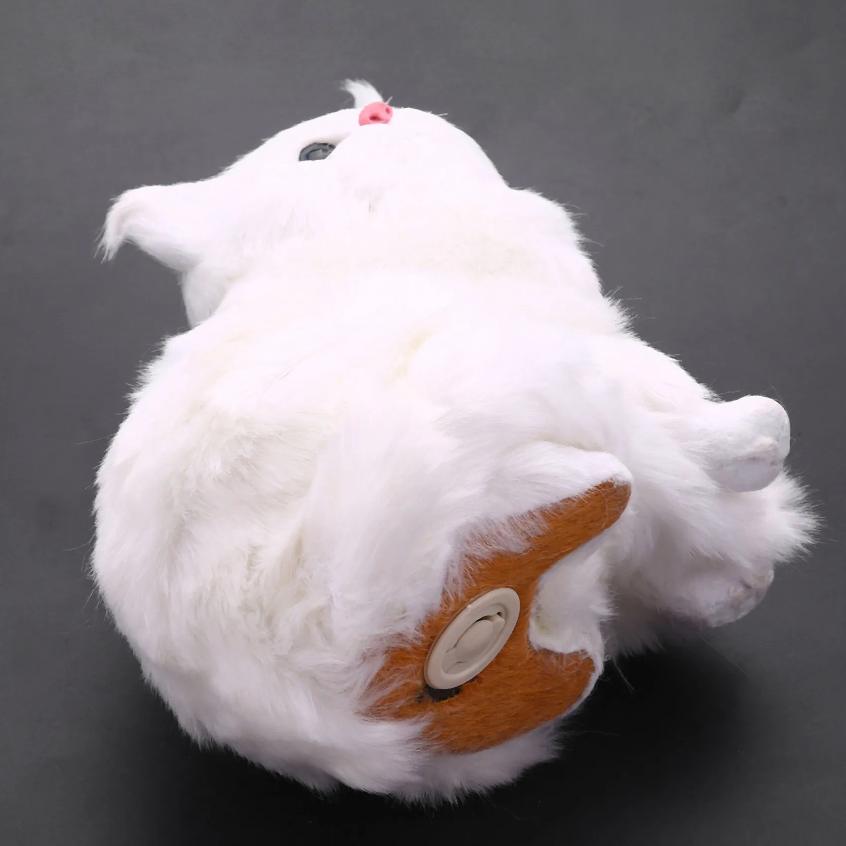 AS96-2X Realistic Cute Simulation Stuffed Plush White Persian Cats Cat Table Decor Kids Boys Girls
AS96-2X Realistic Cute Simulation Stuffed Plush White Persian Cats Cat Table Decor Kids Boys Girls
