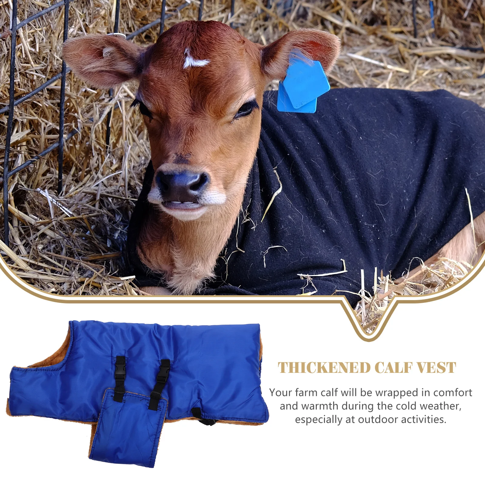 Thickened Calf Vest Warm Fleece Waterproof Ranch Supplies Goat Jacket Winter Horse Care Products Farm Animal Wear Coat
Thickened Calf Vest Warm Fleece Waterproof Ranch Supplies Goat Jacket Winter Horse Care Products Farm Animal Wear Coat