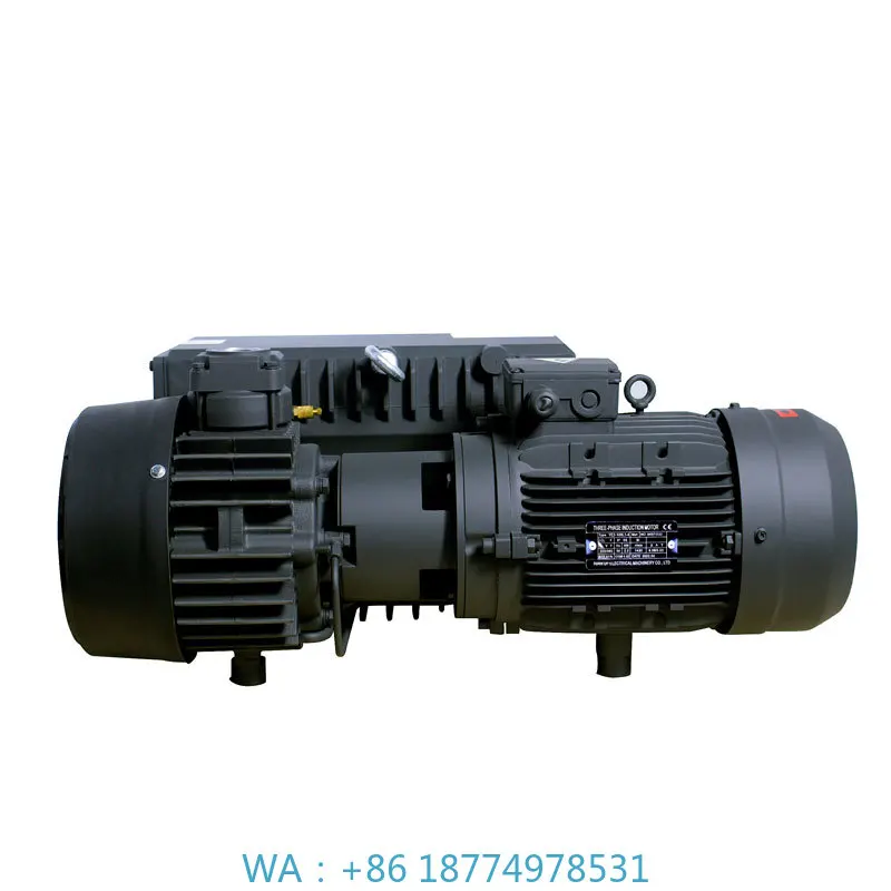 Vacuum Pump High Quality Oil Rotor Vane Industrial PumpRA0040/063/100F Rotary
Vacuum Pump High Quality Oil Rotor Vane Industrial PumpRA0040/063/100F Rotary