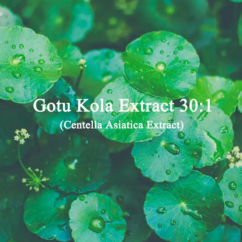 Household Products (Essence Raw Materials) Soap Making/Spices Gotu Kola Extract 30:1 Centella Asiatica Free Shipping
Household Products (Essence Raw Materials) Soap Making/Spices Gotu Kola Extract 30:1 Centella Asiatica Free Shipping
