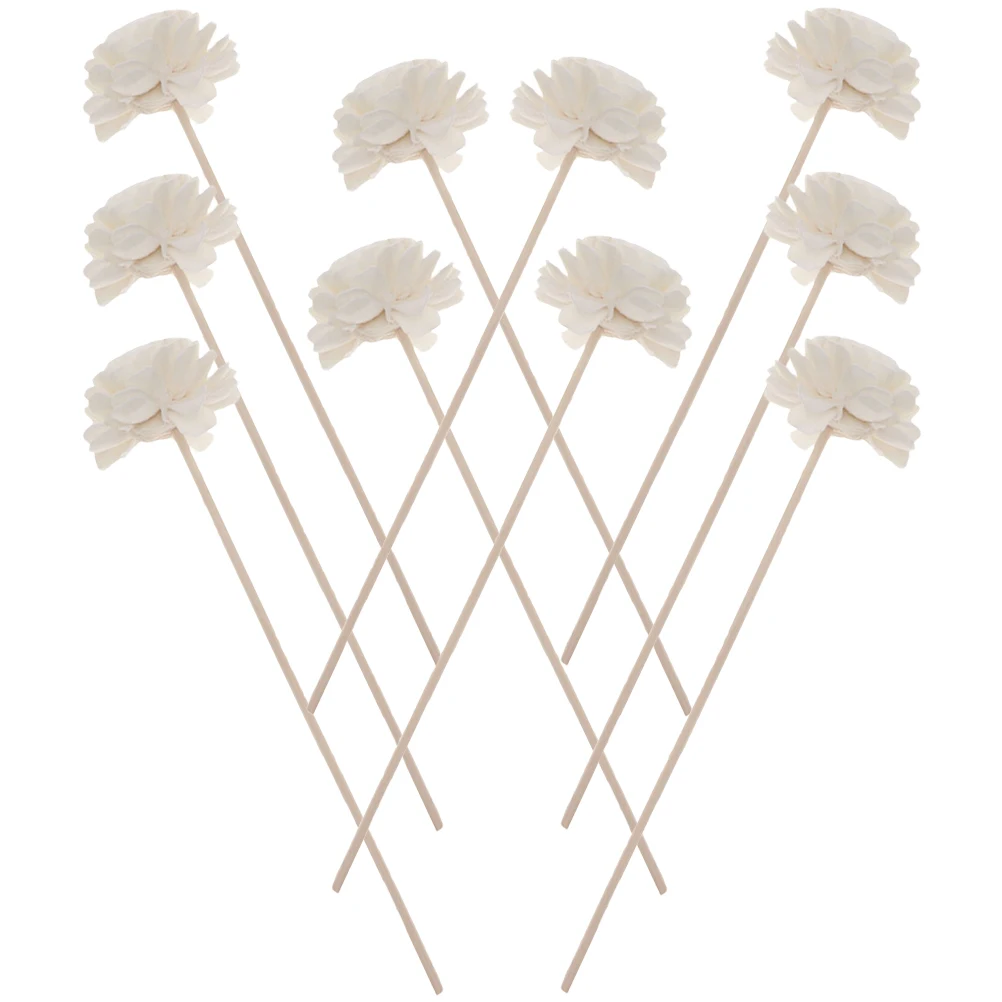 10 Pcs Dried Flower Rattan Sticks 4 5cm Aromatherapy Fragrance Diffuser Essential Oil Home Car Decor Simulated Flowers
10 Pcs Dried Flower Rattan Sticks 4 5cm Aromatherapy Fragrance Diffuser Essential Oil Home Car Decor Simulated Flowers