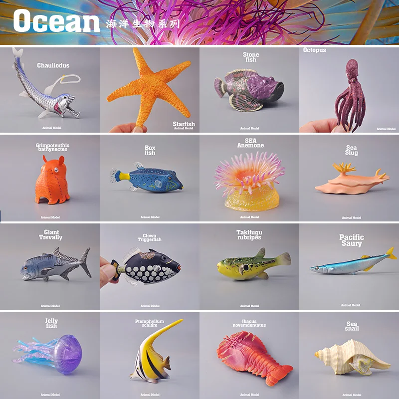 Authentic Simulation Animal Models - Marine Fish, Shrimp, Crab, Whale, Jellyfish Children'S Educational Toy Gift
Authentic Simulation Animal Models - Marine Fish, Shrimp, Crab, Whale, Jellyfish Children'S Educational Toy Gift