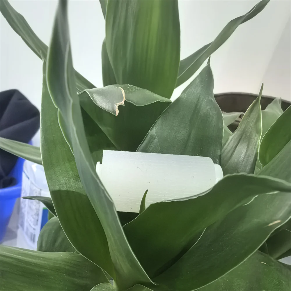 5X FC9-4968-000 FL0-1428-000 FM1-N521-010 FC6-2784-000 FL0-3193-000 DADF Pickup Separation Feed Roller for CANON
5X FC9-4968-000 FL0-1428-000 FM1-N521-010 FC6-2784-000 FL0-3193-000 DADF Pickup Separation Feed Roller for CANON