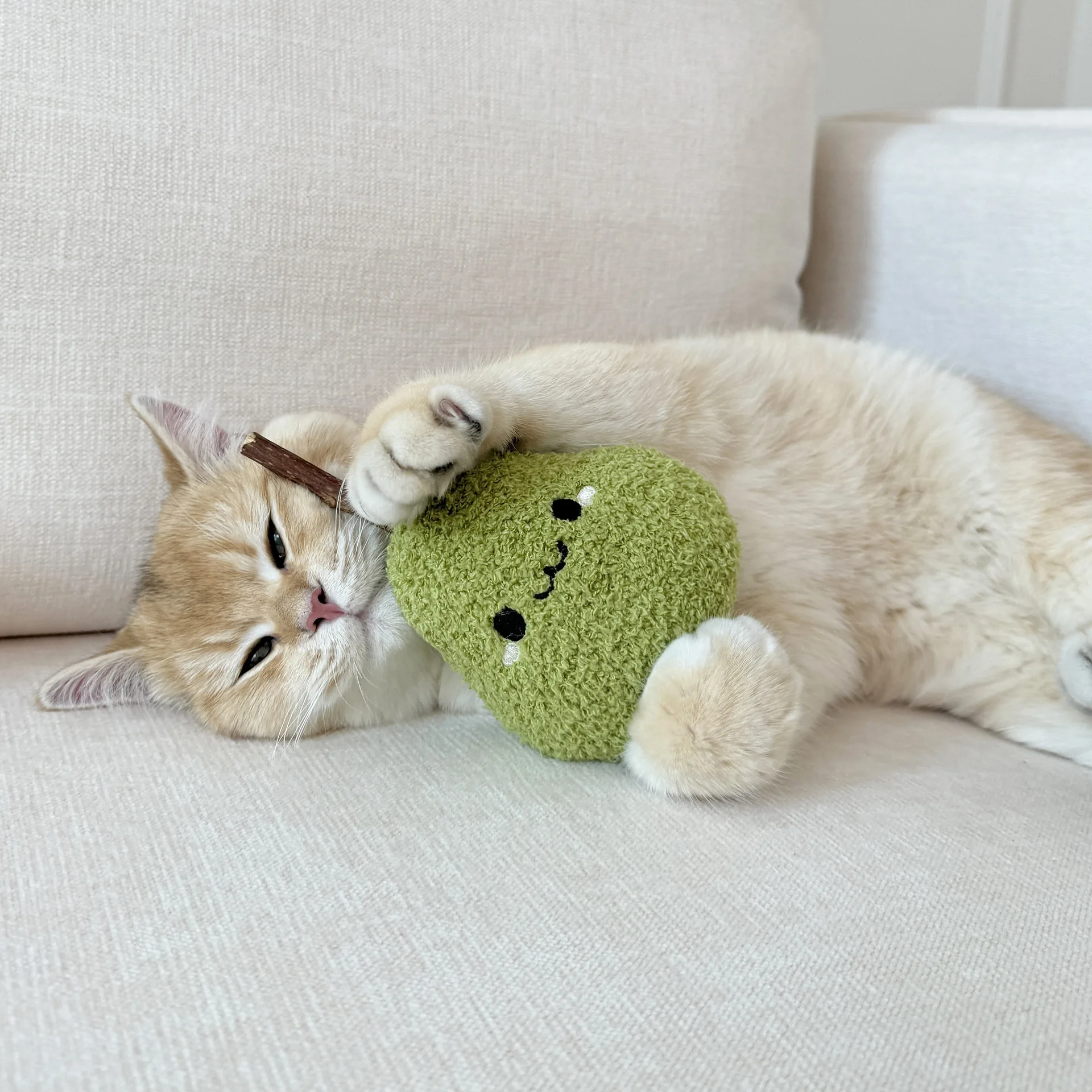 Silvervine Pear Chew Toy for Cats - Plush Catnip Teaser , Self-Play Biting Reliever & Dental Care Kitten Toy
Silvervine Pear Chew Toy for Cats - Plush Catnip Teaser , Self-Play Biting Reliever & Dental Care Kitten Toy