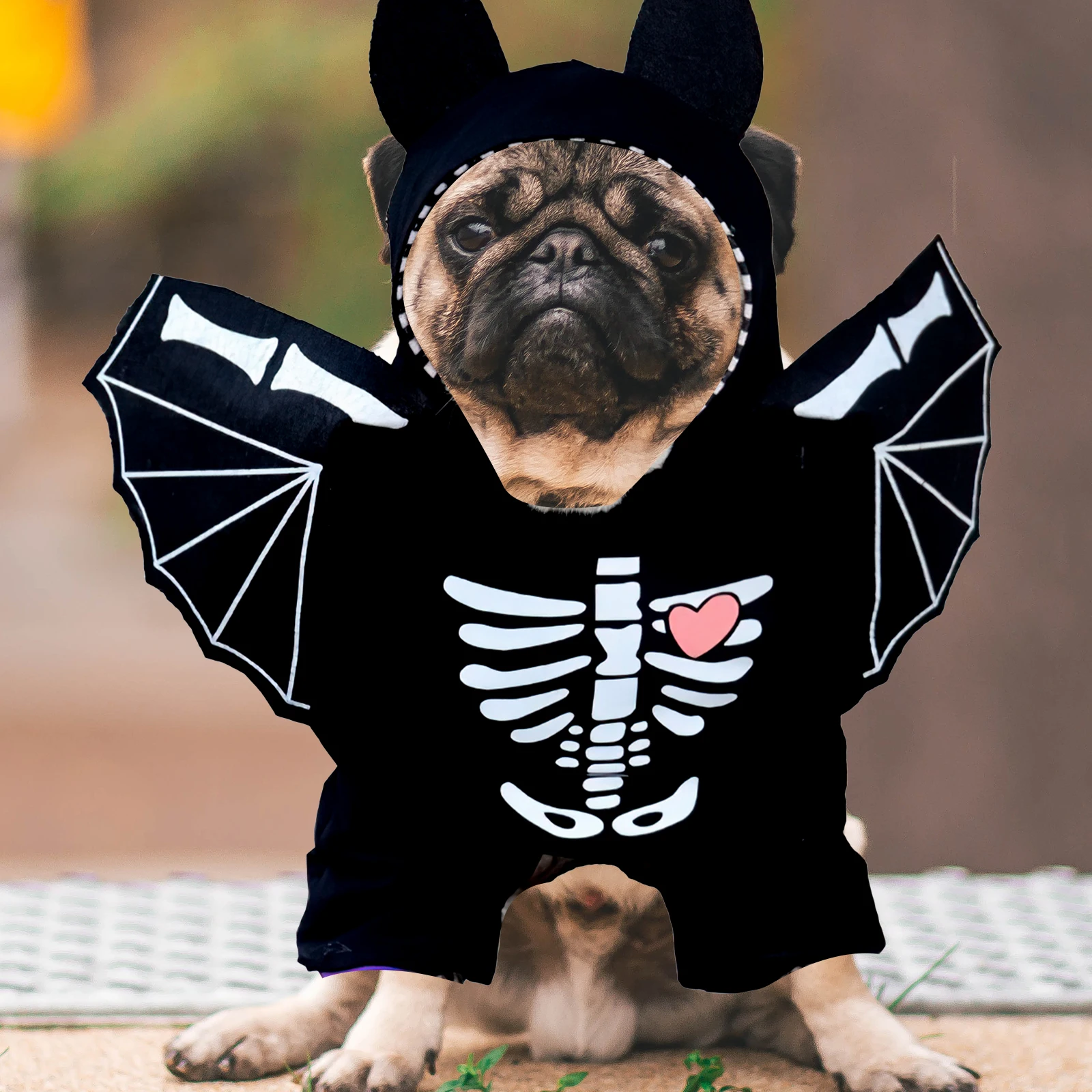 Bat Pet Costume Small Dogs Cats L Size Black Halloween Party Wear Adorable Dog Clothes Cosplay Outfit Puppy Jacket Dogwear
Bat Pet Costume Small Dogs Cats L Size Black Halloween Party Wear Adorable Dog Clothes Cosplay Outfit Puppy Jacket Dogwear