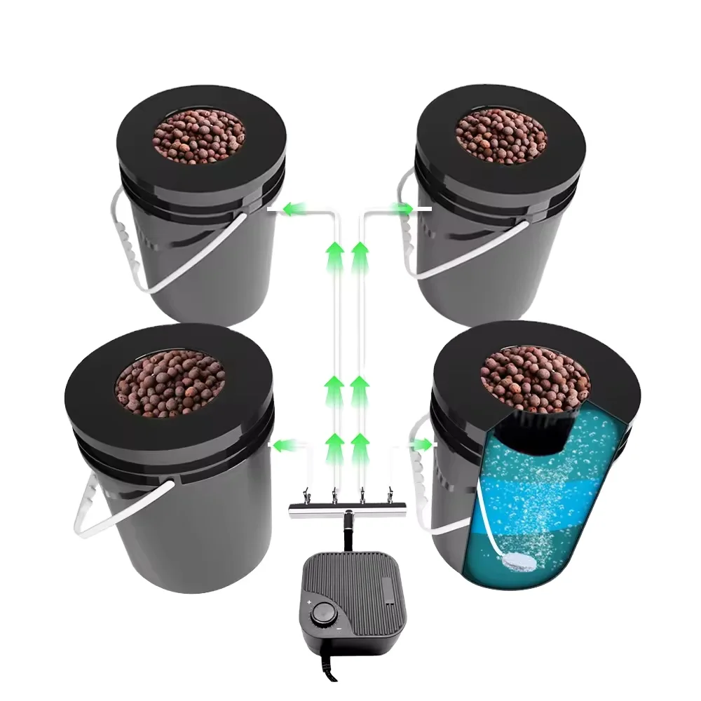 2025OEM ODM Complete Hydroponic Deep Water Culture Hydroponic System Recirculating Design for Hydroponic System With Cheap Price
2025OEM ODM Complete Hydroponic Deep Water Culture Hydroponic System Recirculating Design for Hydroponic System With Cheap Price