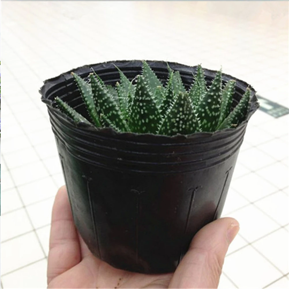 300 Pcs Nutrition Bowl Nursery Starter Pots Germination Garden Eco Friendly Plastic Lightweight Reusable Drainage Holes Plant
300 Pcs Nutrition Bowl Nursery Starter Pots Germination Garden Eco Friendly Plastic Lightweight Reusable Drainage Holes Plant