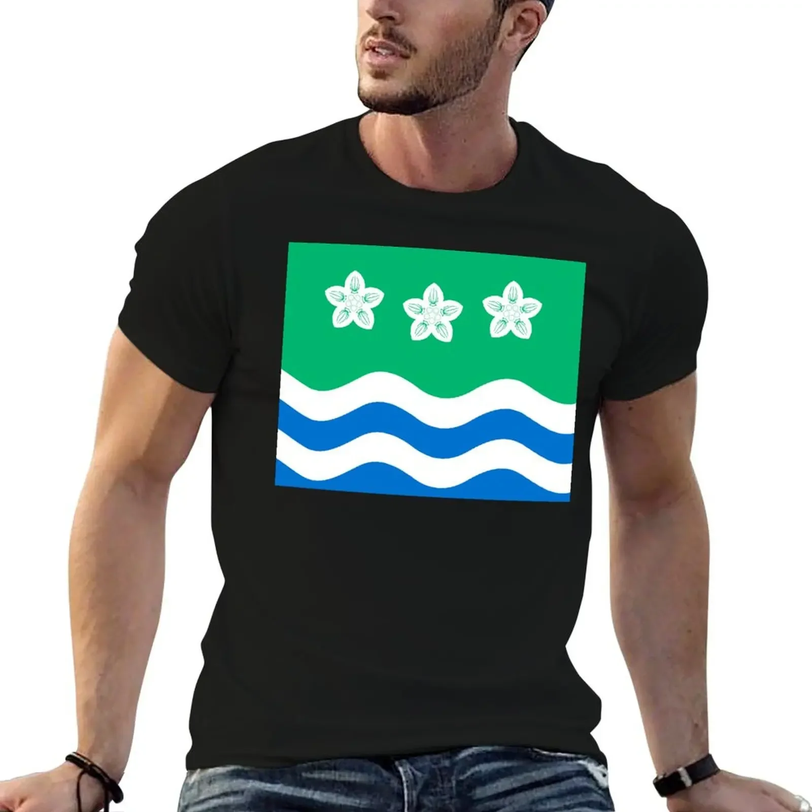 Cumbria Flag T-Shirt man clothes blacks funny meme t-shirts black t shirts for men
Cumbria Flag T-Shirt man clothes blacks funny meme t-shirts black t shirts for men