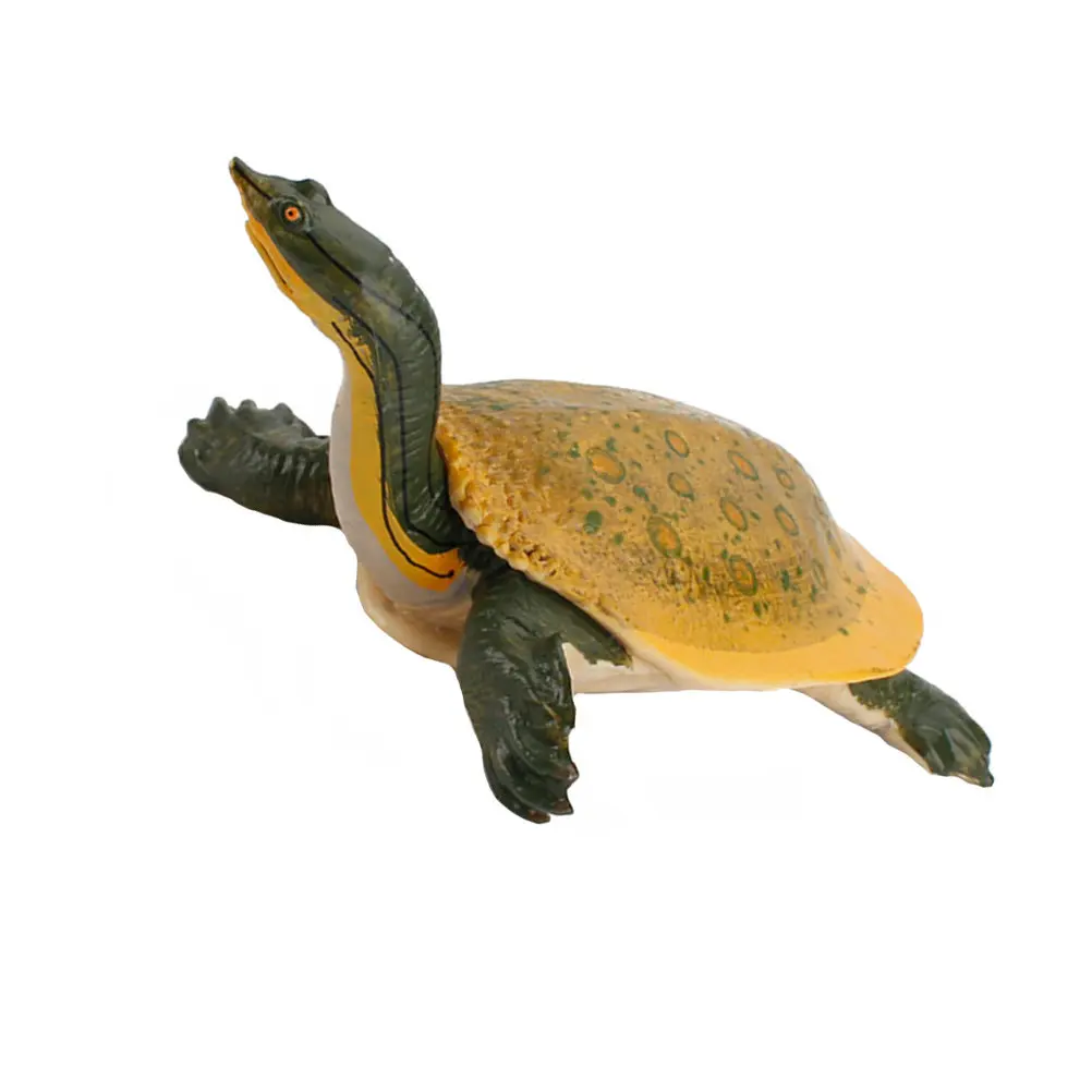 1Pcs Realistic Simulation Freshwater Turtle Creative Animal Learning Tool for Kids Nature Education Home Decoration Educational
1Pcs Realistic Simulation Freshwater Turtle Creative Animal Learning Tool for Kids Nature Education Home Decoration Educational