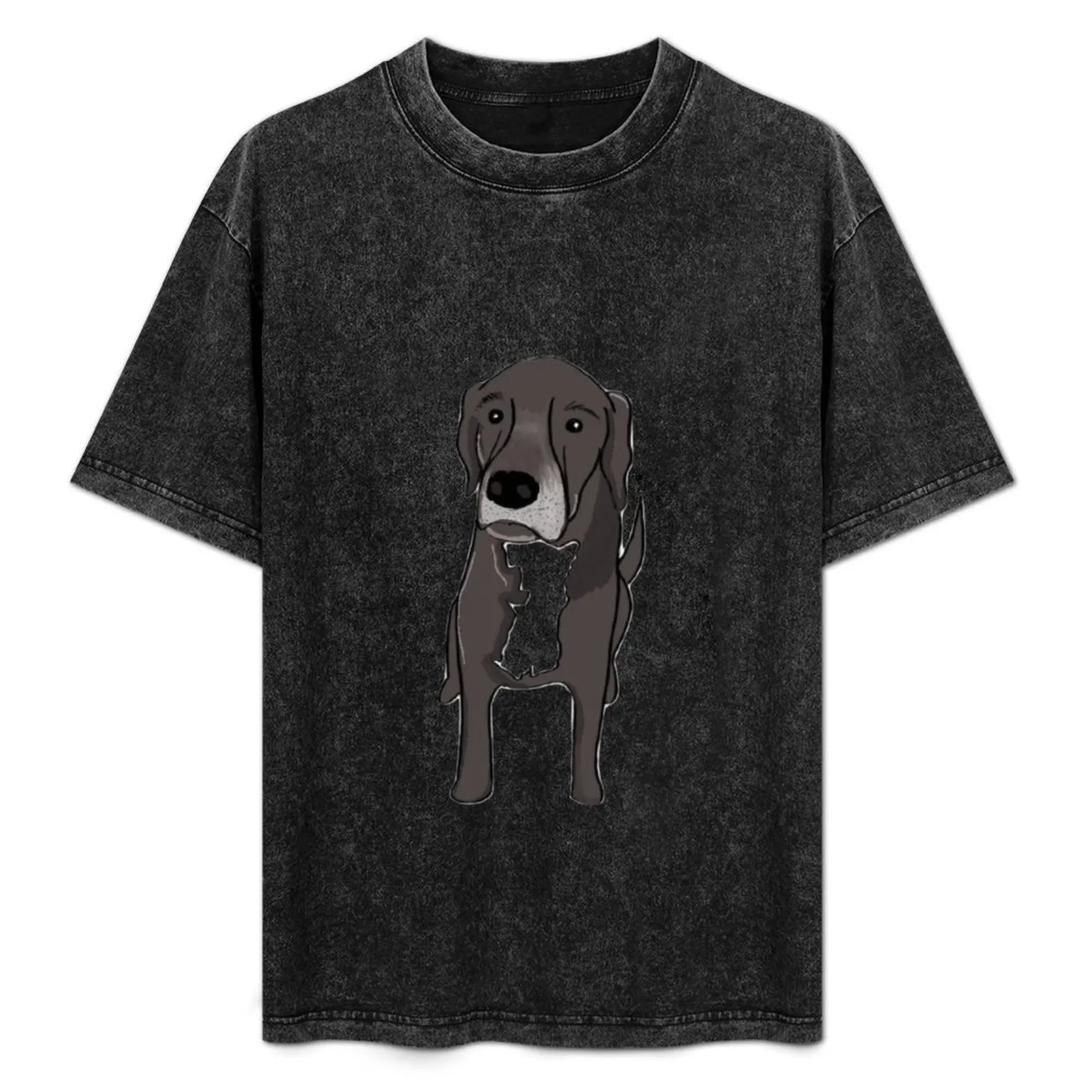 Izzy the Lab T-Shirt Performance Dry Fit T-Shirt
Izzy the Lab T-Shirt Performance Dry Fit T-Shirt