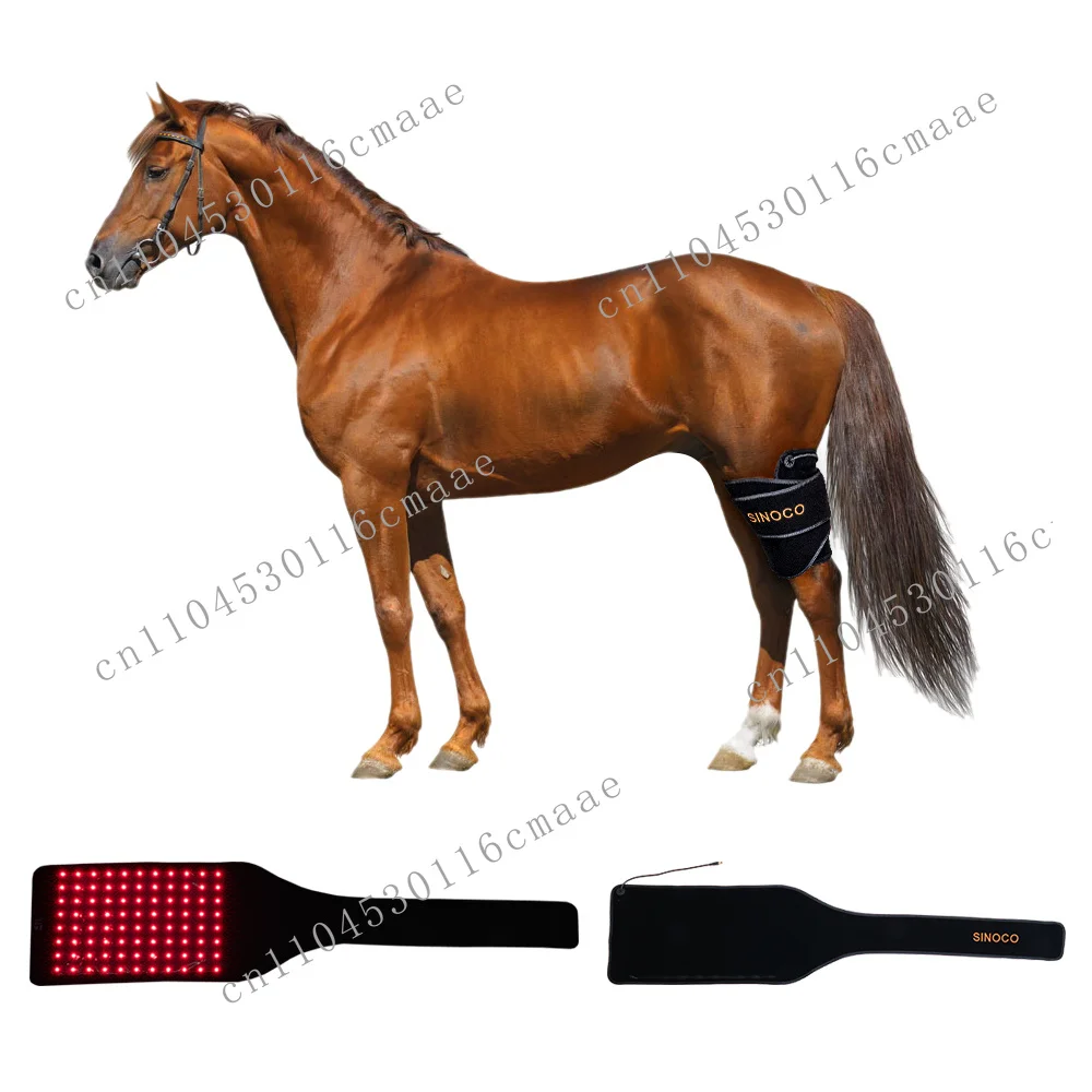 Veterinary Instrument Infrared Red Light Therapy Equipment for Horse Care
Veterinary Instrument Infrared Red Light Therapy Equipment for Horse Care