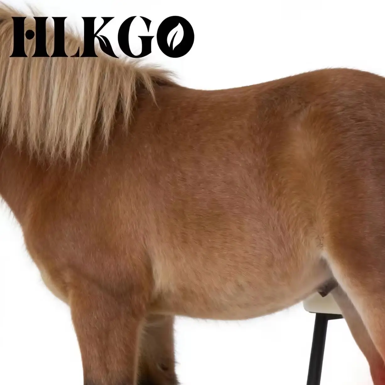 Лазерный терапевтический аппарат с 25 диодами для глубокого восстановления тканей, обезболивания лошадей, ветеринарный лазер для лечения суставов, мышц и артрита у лошадей
Лазерный терапевтический аппарат с 25 диодами для глубокого восстановления тканей, обезболивания лошадей, ветеринарный лазер для лечения суставов, мышц и артрита у лошадей