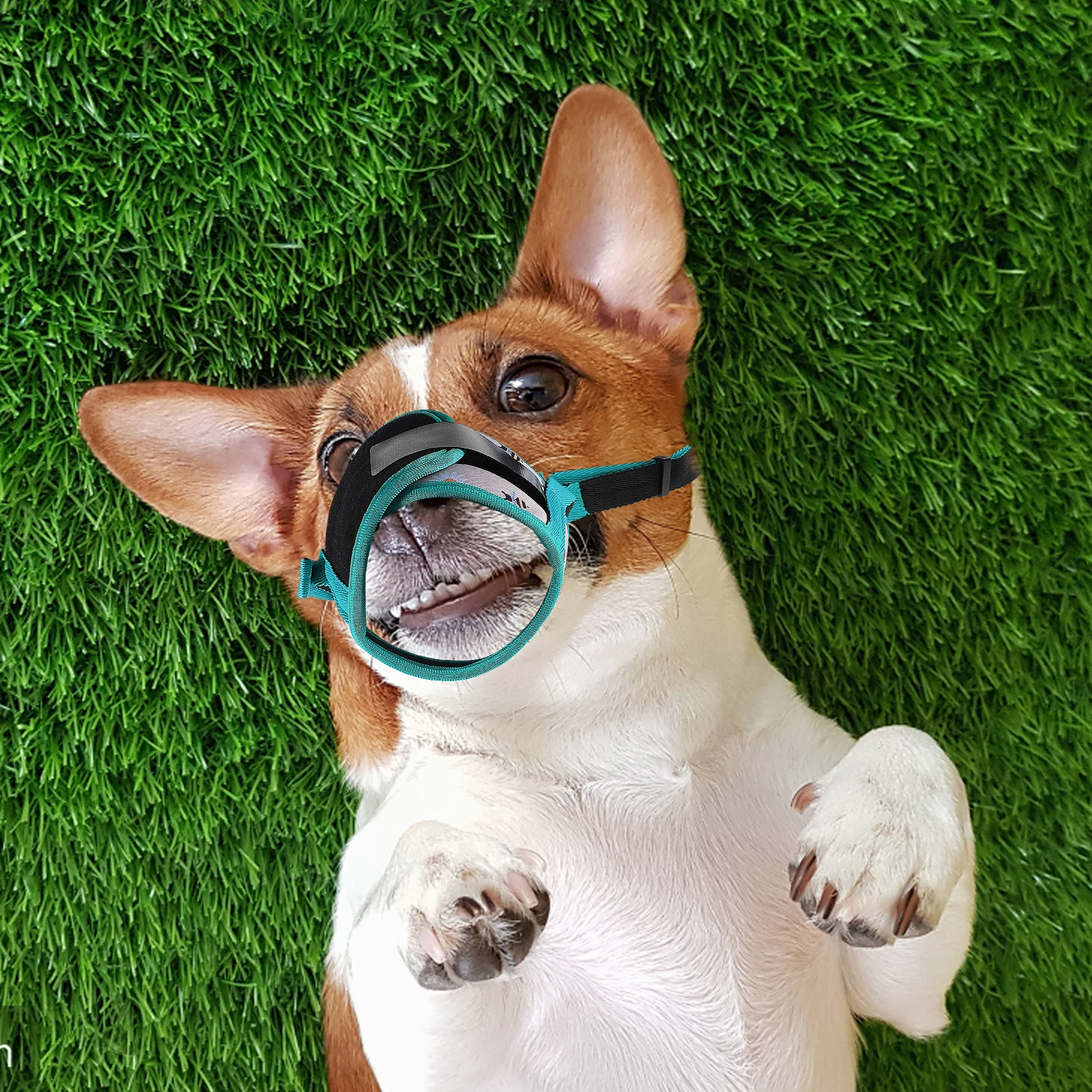 Anti-calling Dog Mouth Cover Polyester Printed Muzzle Pet Supply Accessory Breathable Adjustable Chewing Anti-biting
Anti-calling Dog Mouth Cover Polyester Printed Muzzle Pet Supply Accessory Breathable Adjustable Chewing Anti-biting