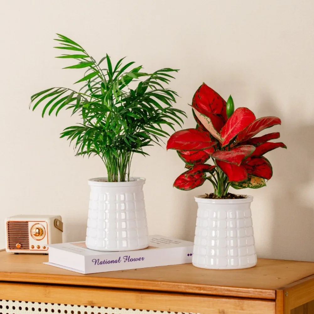 Creative Self Watering Hydroponic Plants Pot Plastic Transparent Mini Succulent Planter Tabletop Vase Removable Flowerpot
Creative Self Watering Hydroponic Plants Pot Plastic Transparent Mini Succulent Planter Tabletop Vase Removable Flowerpot