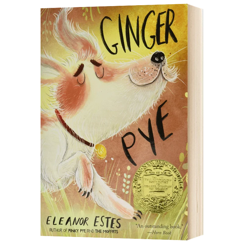 Ginger Pye, Children's books aged 9 10 11 12 English books, Animal novels 9780544927810
Ginger Pye, Children's books aged 9 10 11 12 English books, Animal novels 9780544927810
