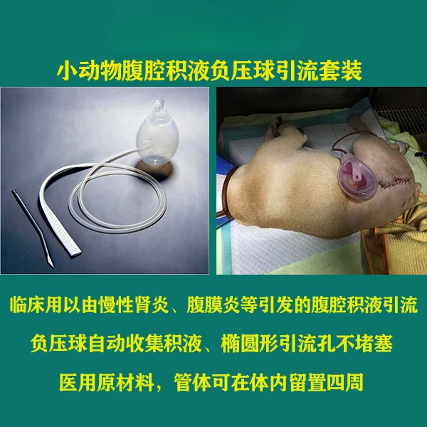 Pet cat dog dog peritoneal effusion drainage tube Small animal negative pressure drainage ball set Puncture needle be indwelled
Pet cat dog dog peritoneal effusion drainage tube Small animal negative pressure drainage ball set Puncture needle be indwelled