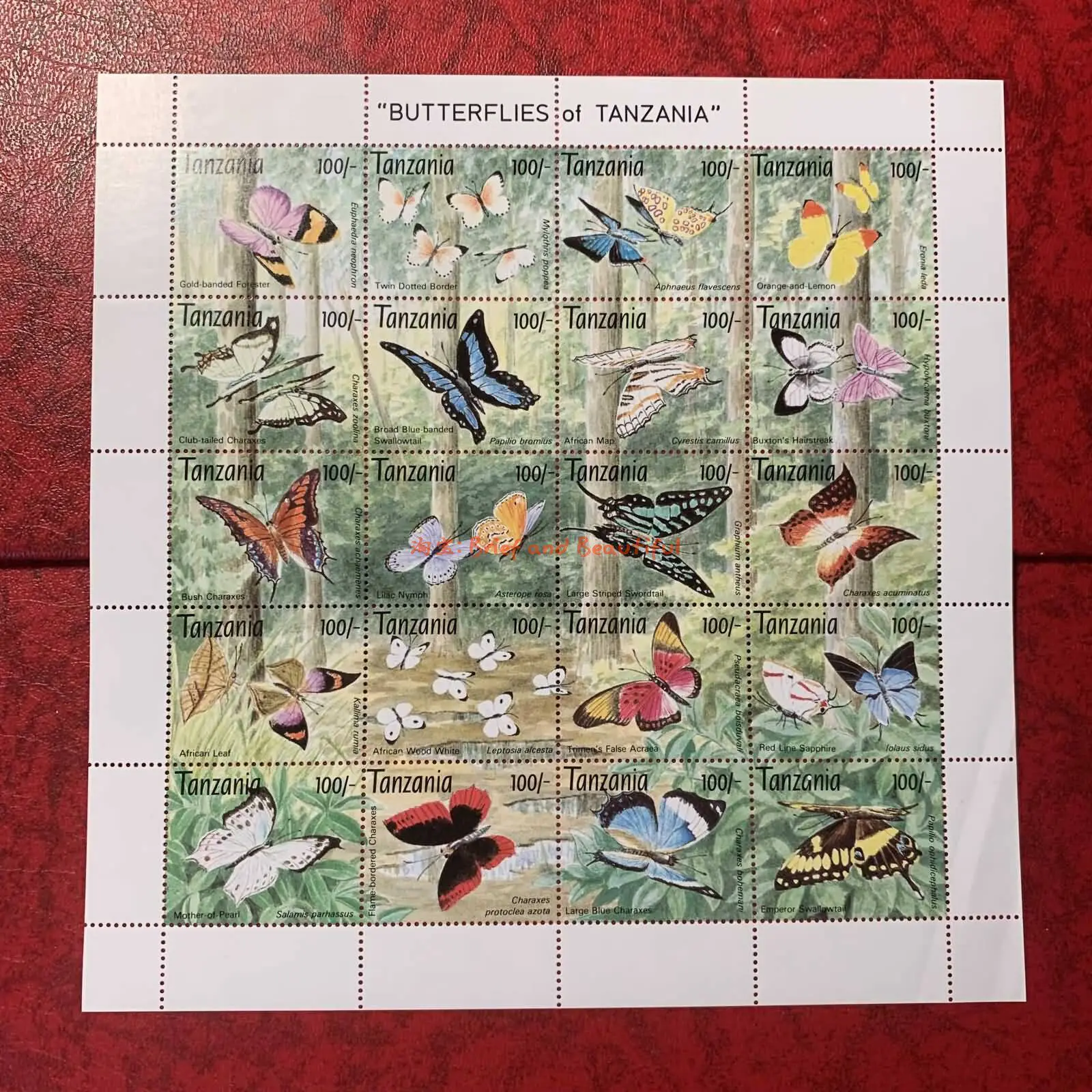 Tanzania Post Stamps Postage Y1993 Insect Various Butterflies 1 Set 20 New Collectible Postage Stamps Material For Scrapbooking
Tanzania Post Stamps Postage Y1993 Insect Various Butterflies 1 Set 20 New Collectible Postage Stamps Material For Scrapbooking