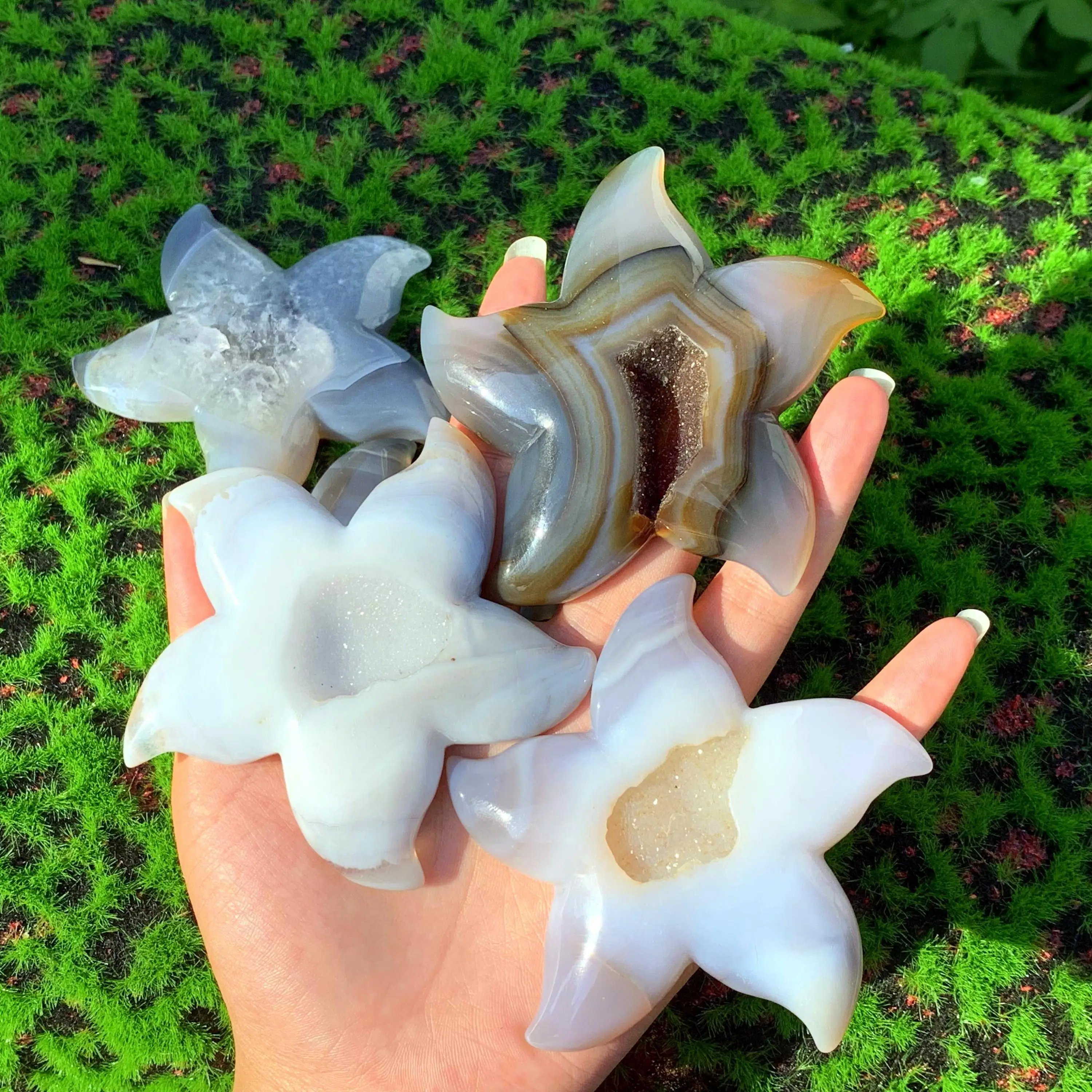 Искусственный кристалл в форме морской звезды из агата, 1 шт. – синтетический драгоценный камень с эффектом натурального блеска, фигурка
Искусственный кристалл в форме морской звезды из агата, 1 шт. – синтетический драгоценный камень с эффектом натурального блеска, фигурка