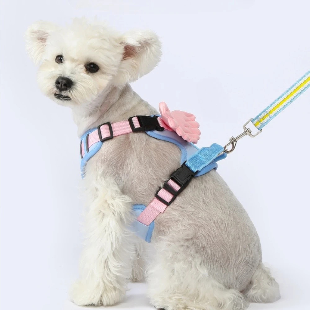 Hot Sale Pink Wings Dog Harness, Breathable Anti-Choking Vest Pet Chest Strap & Leash for Rottweiler & Husky
Hot Sale Pink Wings Dog Harness, Breathable Anti-Choking Vest Pet Chest Strap & Leash for Rottweiler & Husky
