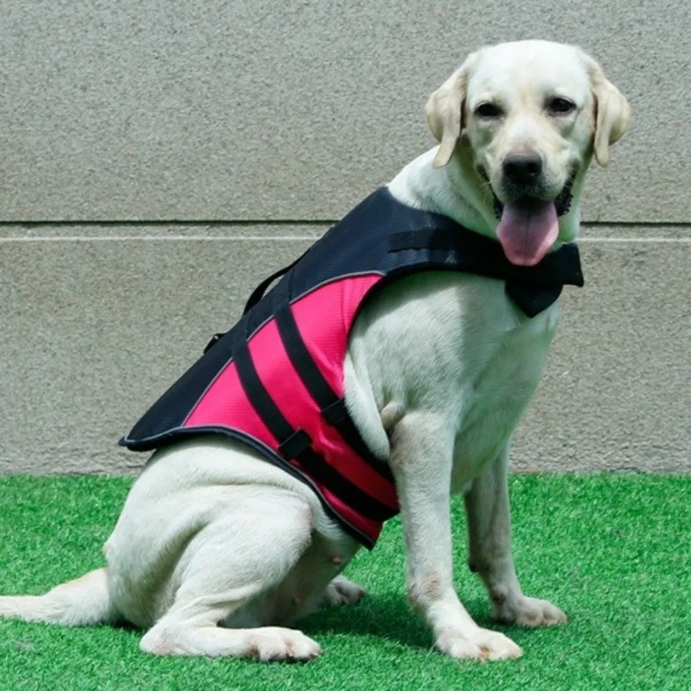 Adjustable Dog Life Jacket Reflective Enhanced Buoyancy Dog Swimming Suit Breathable Pet Safety Vest Outdoor Activities
Adjustable Dog Life Jacket Reflective Enhanced Buoyancy Dog Swimming Suit Breathable Pet Safety Vest Outdoor Activities