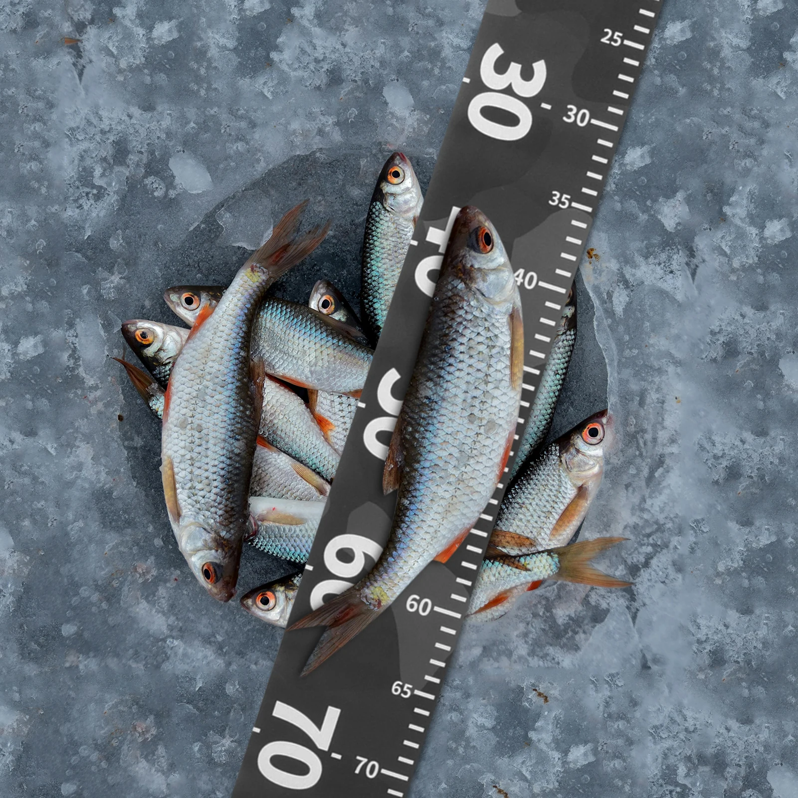 Fish Measuring Ruler Durable PVC European Style Fishing Tape Measure Adhesive Accurate Portable Tool for Saltwater for Anglers
Fish Measuring Ruler Durable PVC European Style Fishing Tape Measure Adhesive Accurate Portable Tool for Saltwater for Anglers