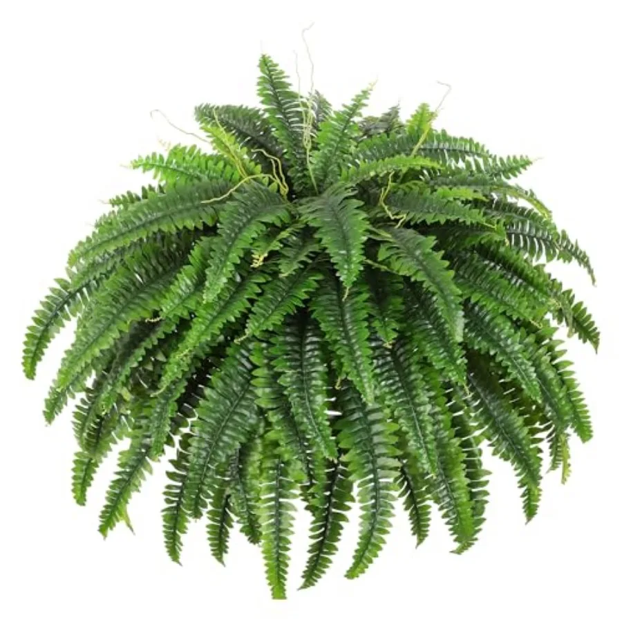 Single Silky Artificial Boston Fern Bush, 49Inch Large Artificial Ferns for Outdoors, Large Faux Ferns Artificial Plants, Suita
Single Silky Artificial Boston Fern Bush, 49Inch Large Artificial Ferns for Outdoors, Large Faux Ferns Artificial Plants, Suita