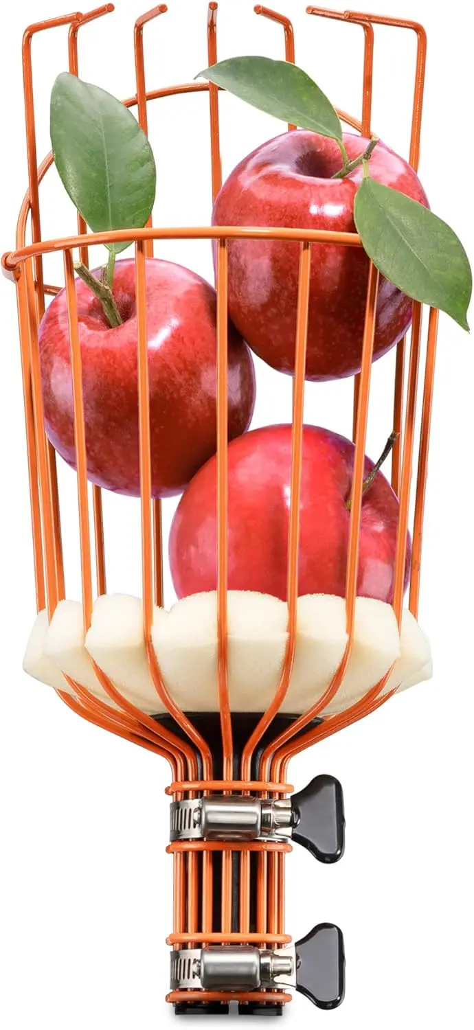 Fruit Picker Basket Only // Twist-On Apple Picker Basket Only Fits Standard Acme Extension Pole // Fruit Tree Picker Tool for Orange Mango Avocado Lemon Pear (Pole Sold Separately)
Fruit Picker Basket Only // Twist-On Apple Picker Basket Only Fits Standard Acme Extension Pole // Fruit Tree Picker Tool for Orange Mango Avocado Lemon Pear (Pole Sold Separately)