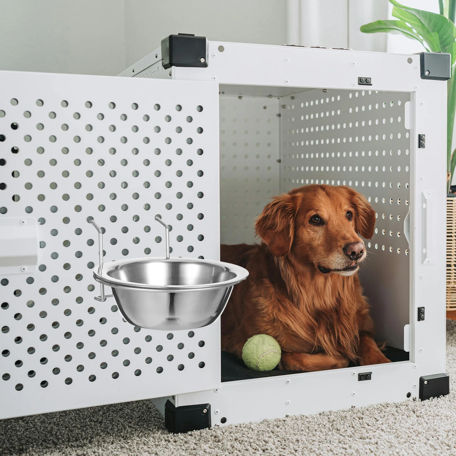2 set Bowl Stainless Steel Cage Crate Food Coop Cup Pet Feeding Dish Water Bowl Dishwasher Safe Rustproof Pet Supply
2 set Bowl Stainless Steel Cage Crate Food Coop Cup Pet Feeding Dish Water Bowl Dishwasher Safe Rustproof Pet Supply