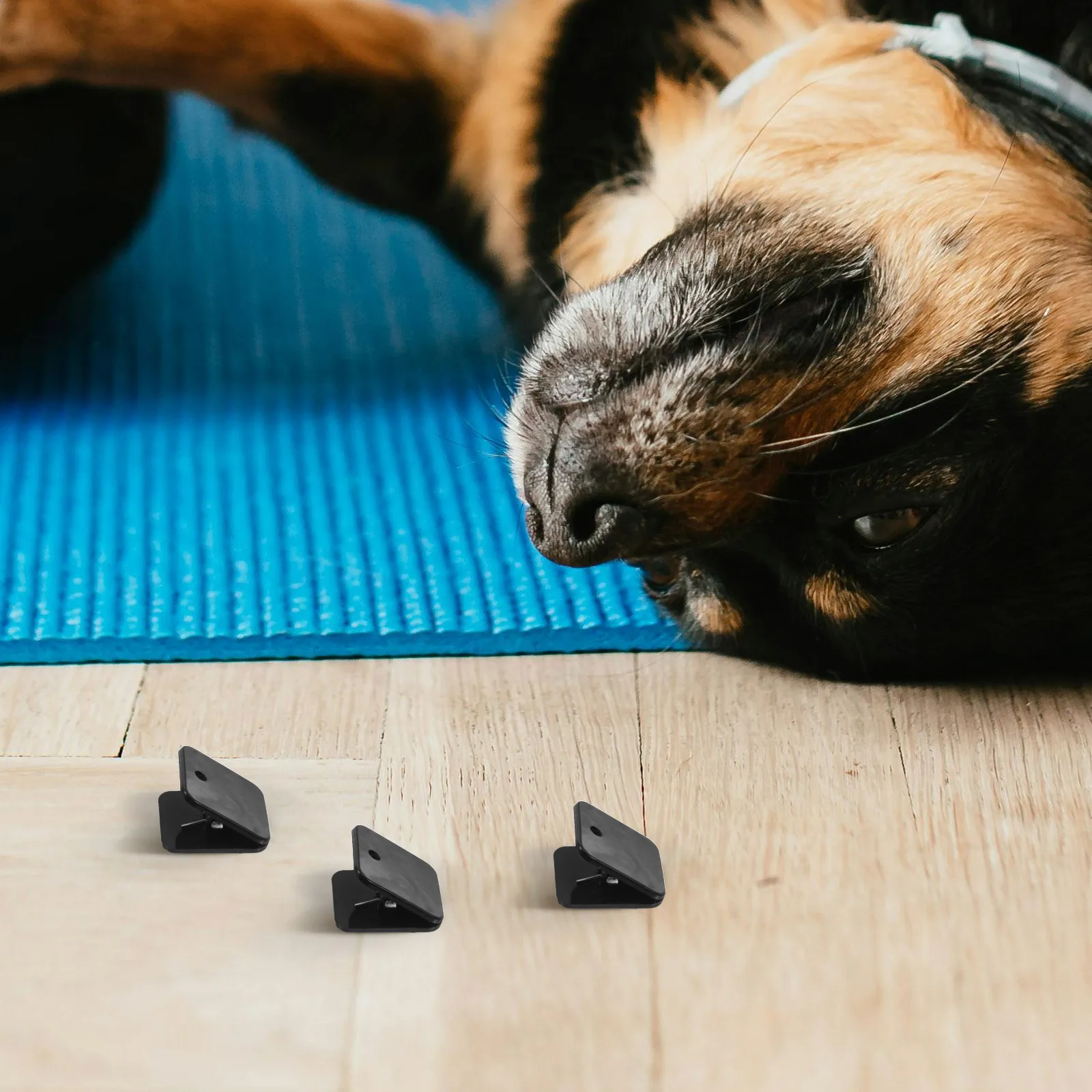 6 Pcs Pet Potty Training Pad Holder Durable Transparent Wall for Dog Cage High Walls Tray Stability Enhancement Versatile
6 Pcs Pet Potty Training Pad Holder Durable Transparent Wall for Dog Cage High Walls Tray Stability Enhancement Versatile