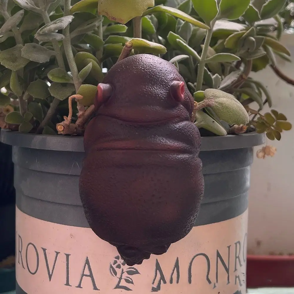 Cartoon Small Animal Figurine Resin Crafts Handicraft Hippopotamus Hanging Flower Pot Cute Climbing Animal Statue
Cartoon Small Animal Figurine Resin Crafts Handicraft Hippopotamus Hanging Flower Pot Cute Climbing Animal Statue
