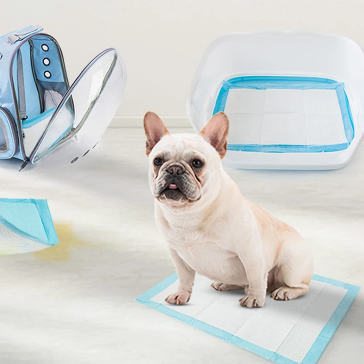 Pet Products Super Absorption Waterproof Puppy Pee Pad Pet Diaper Mat Pet Dog Training Pad
Pet Products Super Absorption Waterproof Puppy Pee Pad Pet Diaper Mat Pet Dog Training Pad