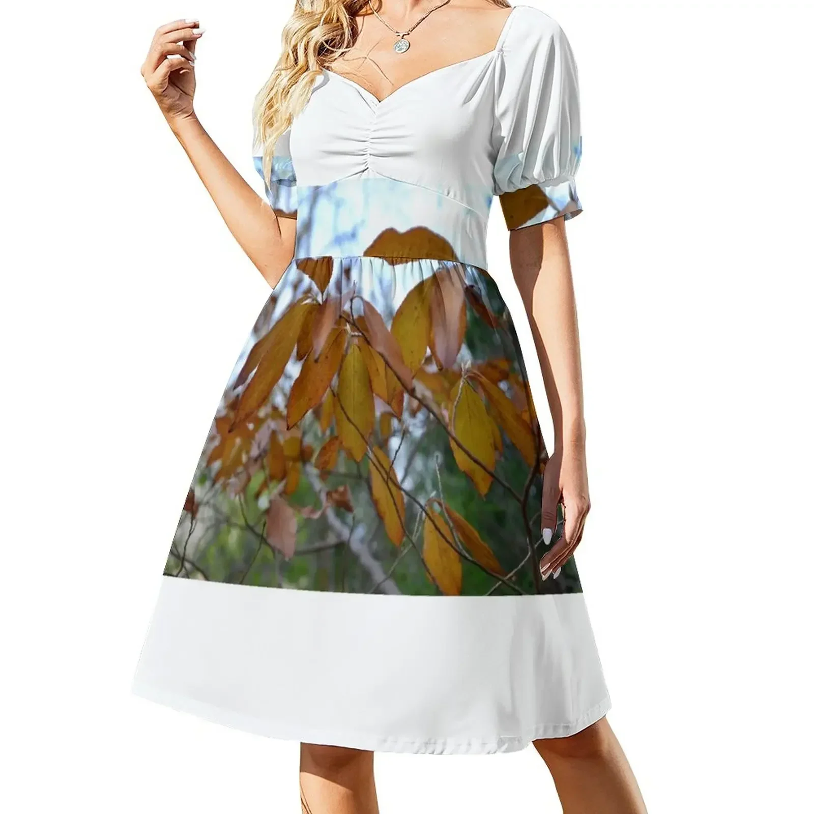 Warm Autumn Afternoon Short-Sleeved Dress women's fashion dresses Women's evening dress Dress
Warm Autumn Afternoon Short-Sleeved Dress women's fashion dresses Women's evening dress Dress