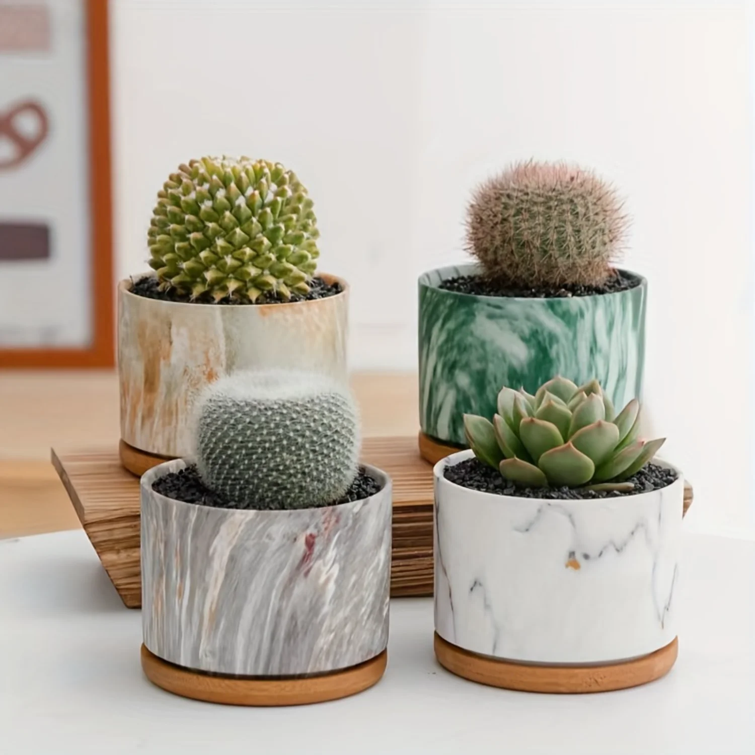 4 Packs, Water Transfer Printed Succulent Ceramic Pot (with Wooden Tray), Plant Pot Cactus Plant Pot Flower Pot Container Plante
4 Packs, Water Transfer Printed Succulent Ceramic Pot (with Wooden Tray), Plant Pot Cactus Plant Pot Flower Pot Container Plante