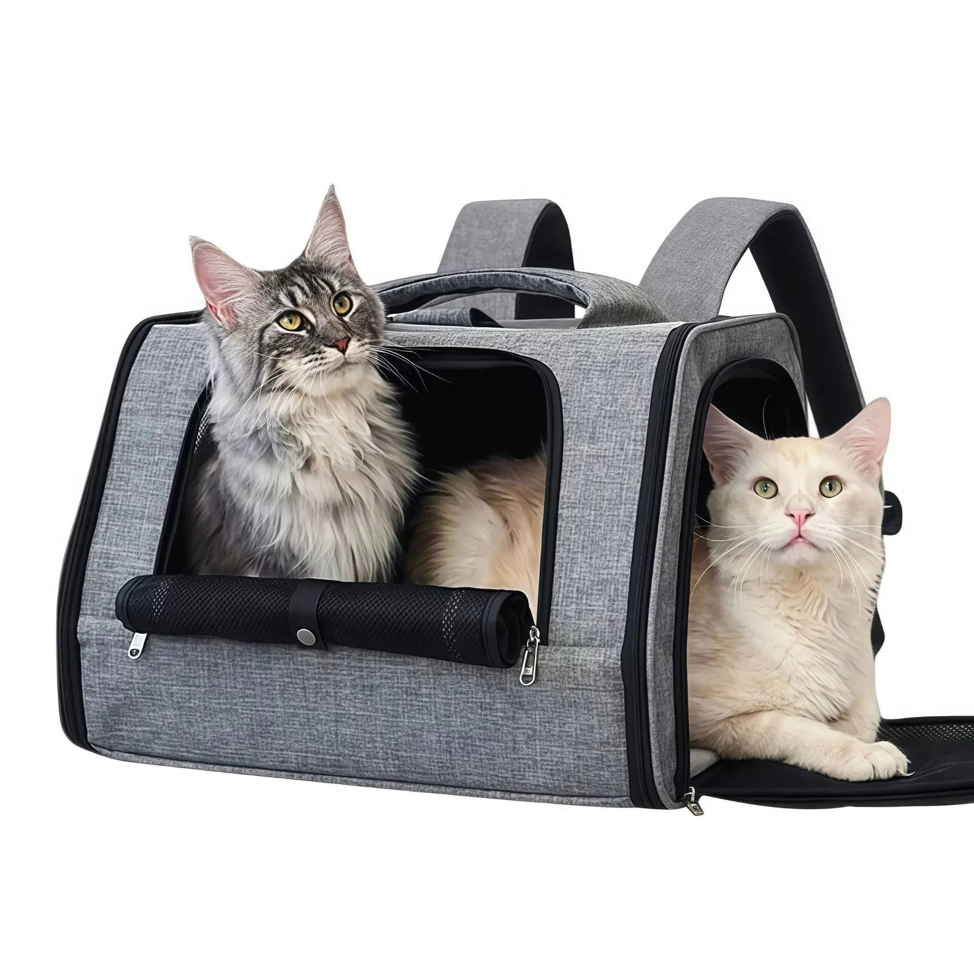 Cat bag portable for outdoor use for small dogs and cats Car bag for outdoor use for pets Large capacity backpack for outdoor
Cat bag portable for outdoor use for small dogs and cats Car bag for outdoor use for pets Large capacity backpack for outdoor