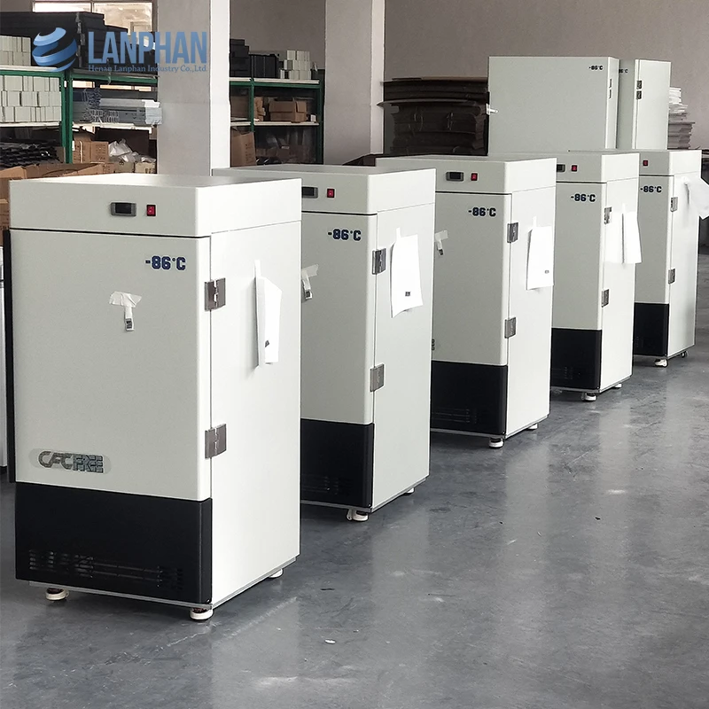 30L 80L Ultra Low Temperature Freezer Adjustable Temperature Ultra Low Freezer for Lab
30L 80L Ultra Low Temperature Freezer Adjustable Temperature Ultra Low Freezer for Lab