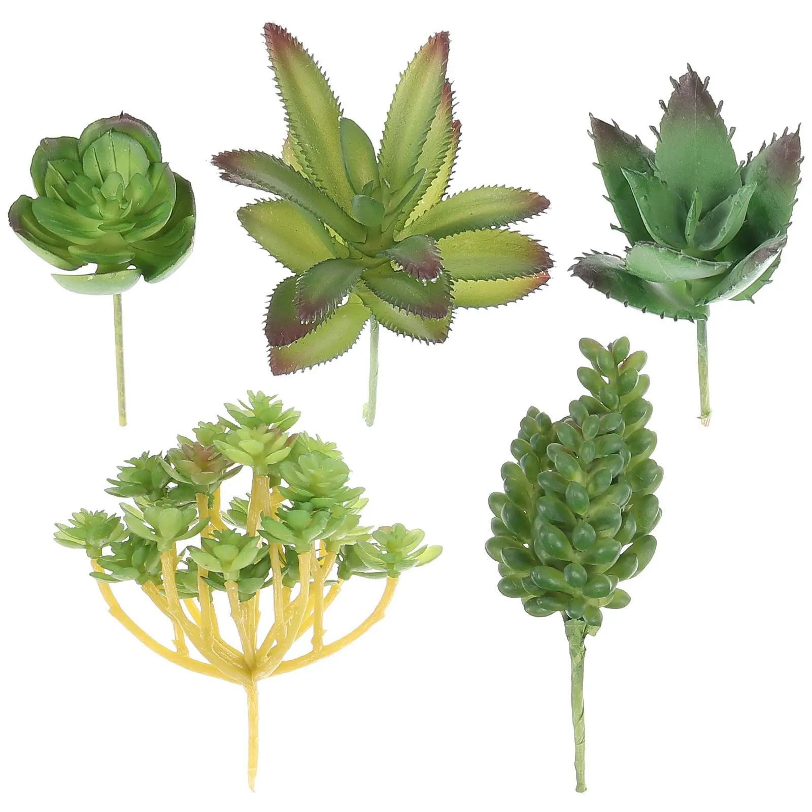 Artificial Succulents Realistic Fake Plants Indoor Decoration Unpotted Plastic Faux Green Life Easy Care Home Office DIY Craft
Artificial Succulents Realistic Fake Plants Indoor Decoration Unpotted Plastic Faux Green Life Easy Care Home Office DIY Craft