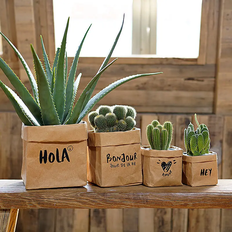 4 Pack Washable Kraft Paper Bag, Eco-Friendly Thickened, Decorative for Dried Flowers, Plant Pots, Fridge, and Fruit Storage.
4 Pack Washable Kraft Paper Bag, Eco-Friendly Thickened, Decorative for Dried Flowers, Plant Pots, Fridge, and Fruit Storage.